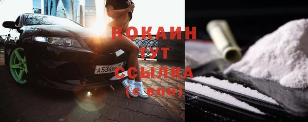 шишки Вязники
