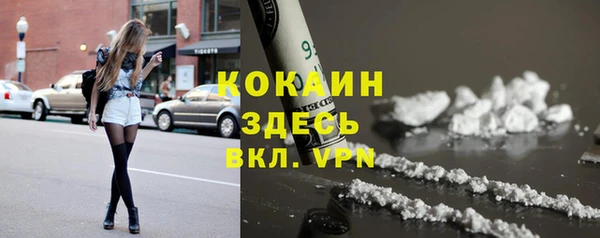 тгк Вяземский