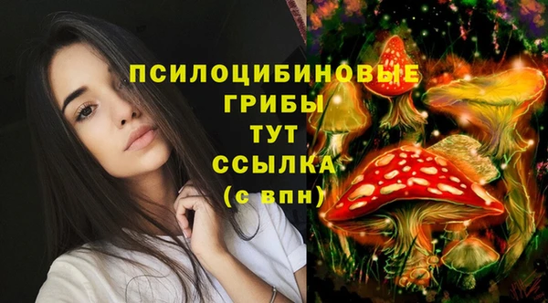 2c-b Вязьма