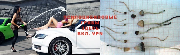 jwh Горняк